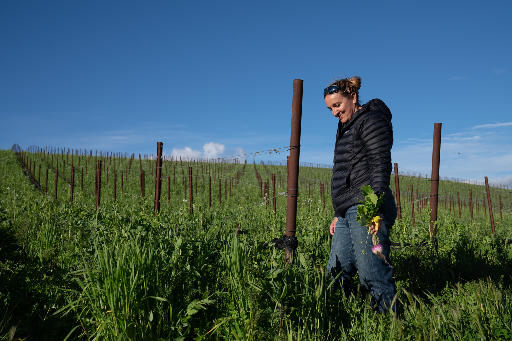 Photos of crop grown in booker soil