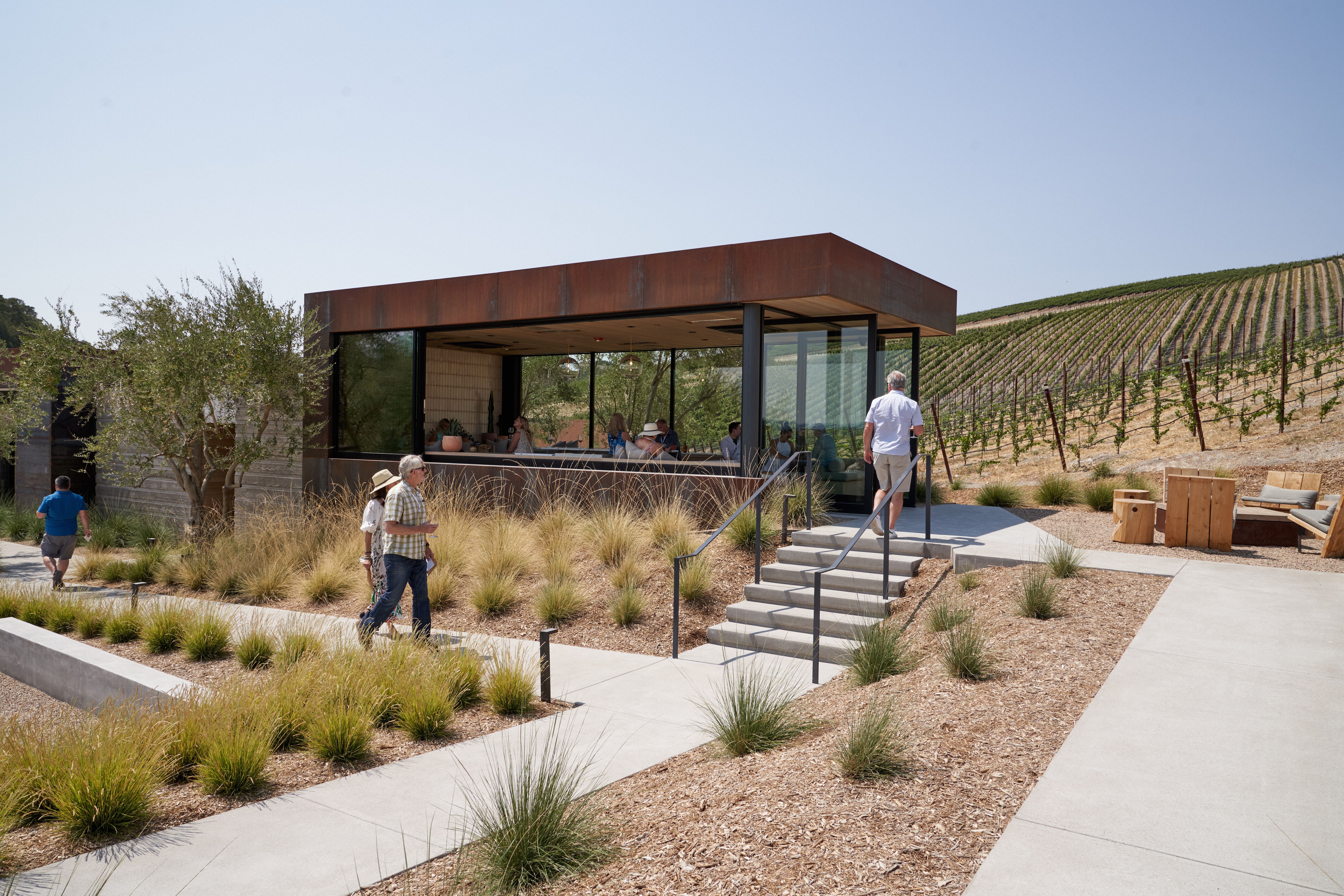 People walking in vineyard