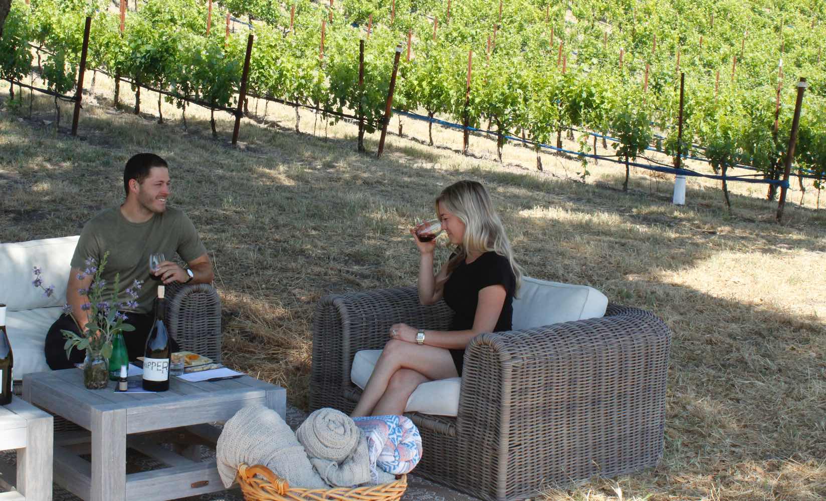 Vineyard Picnic